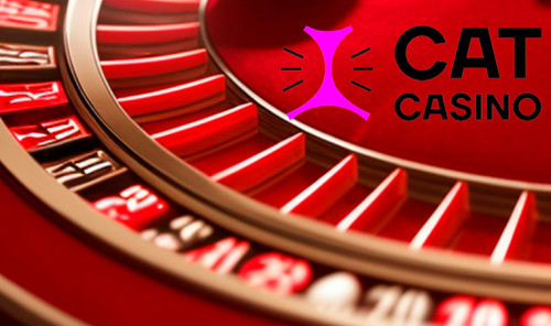 Cat Casino: обзор официального клуба с игровыми автоматами
